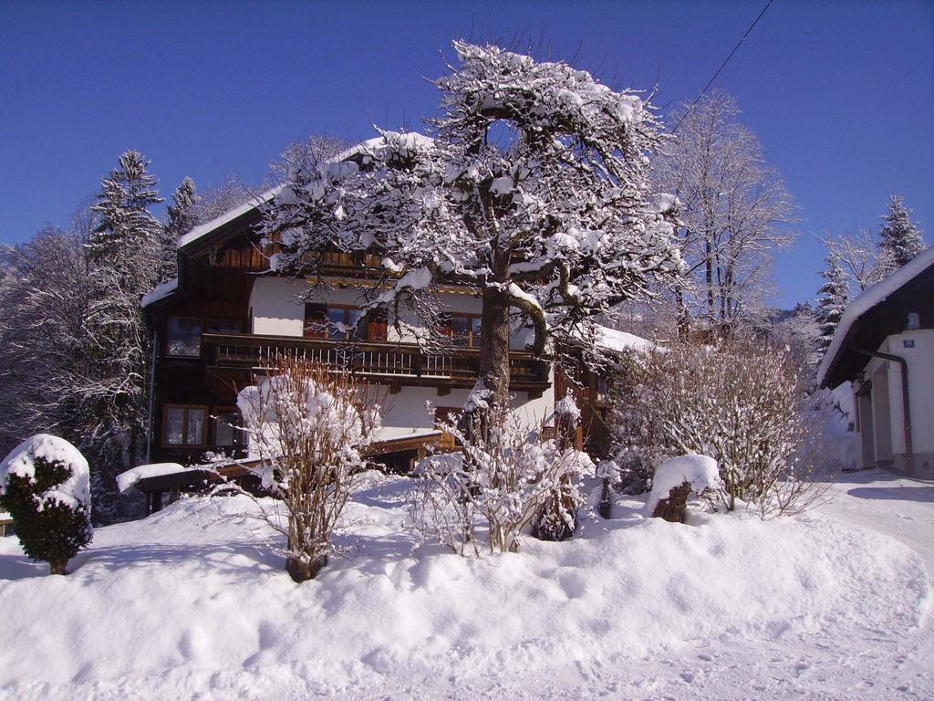 Vogelrast Apartment